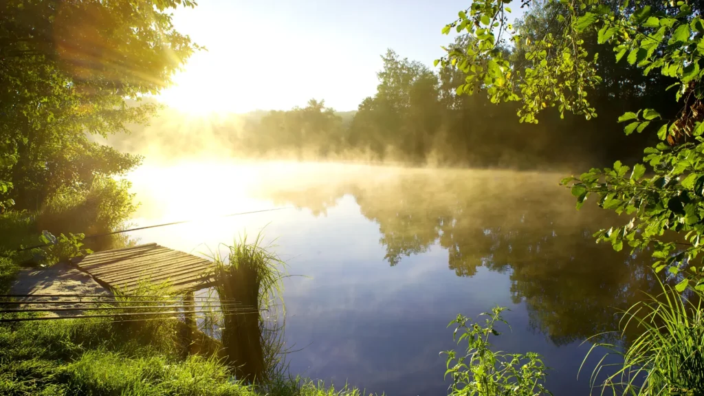 Hypnotherapy